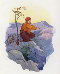 Illustration for Don Quixote