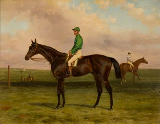 Galopin with Jockey Up