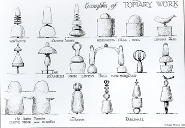 Examples of Topiary Work, 1902