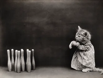Kitties Series: Bowling, c.1914