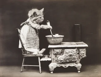 Kitties Series: Cook at the Stove, c.1914