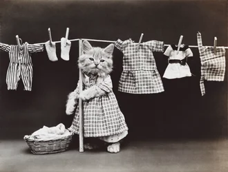 Kitties Series: Drying Laundry, c.1914