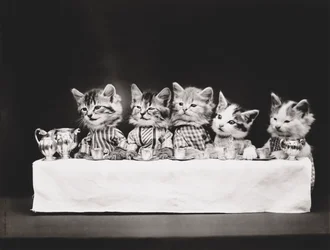 Kitties Series: Last Supper, c.1914