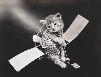 Kitties Series: Pilot Flying Plane, c.1914