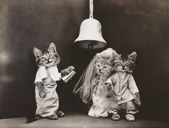 Kitties Series: Wedding, c.1914