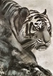 Tiger on the Hunt