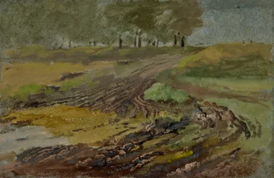 Cart Tracks in the Field