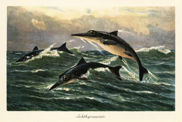 Extinct ichthyosaurs jumping above the ocean