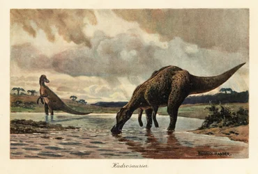 Hadrosaurs or duck-billed dinosaurs feeding in a river