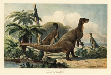 Iguanodon Bernissartensis in a Prehistoric Fern Forest