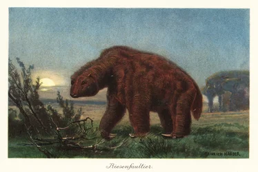 Megatherium americanum in the Moonlight