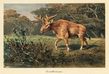 Sivatherium giganteum in a Jungle Clearing