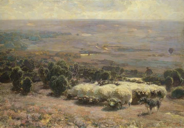 A Herd of Sheep in the Luneburger Heide