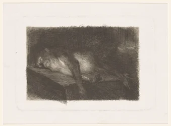 Lying, Sleeping Monkey