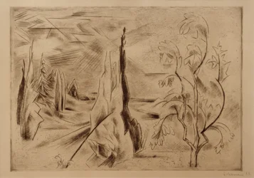 Large Park Landscape