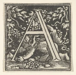 Initial letter A with putto