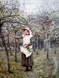 Blossom Time