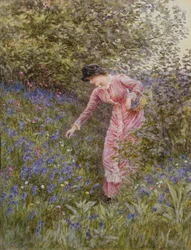 Gathering Bluebells