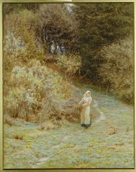 In the Primrose Wood