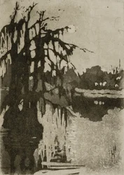 Cypress Trees