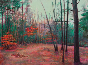 Autumn Clearing