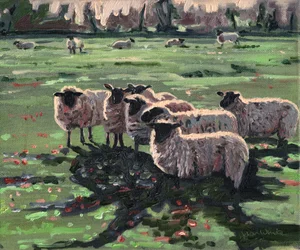 Curious Flock I
