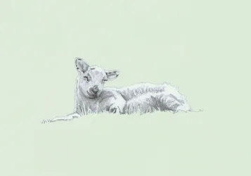 Gentle Spirit II