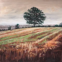 Late Afternoon Field