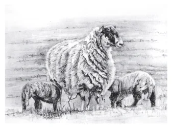 Proud, 2012