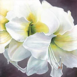 Pure Potential, 2016