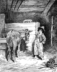 Piccino and His Friend The Donkey