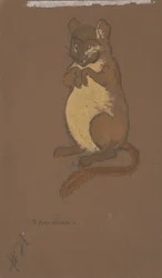 Dormouse (costume design for Alice-in-Wonderland, 1915)
