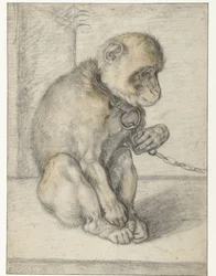 A Seated Monkey on a Chain