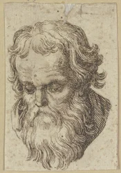 Head of a Bearded Man, Bent Forward