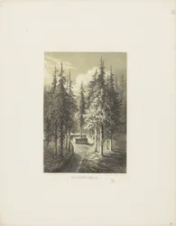 The Dobbe-Gelle