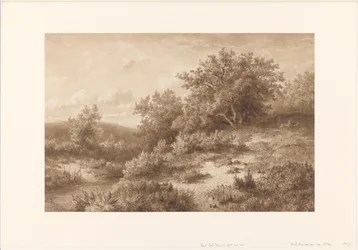 Landscape with Stream and Bushes