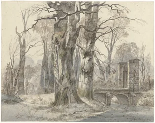 Winter Landscape with Gate Between Trees