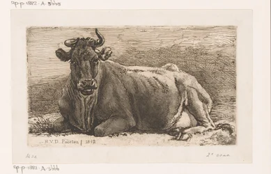 Lying Cow