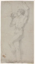 Male Model Study