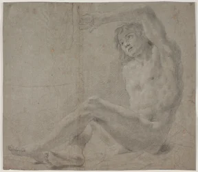 Male Model Study