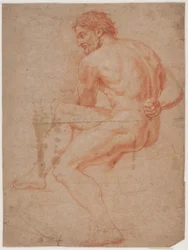 Male Model Study