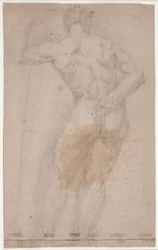 Male Model Study Seen from Behind