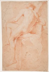 Male Model Study, Seated, Seen from Behind