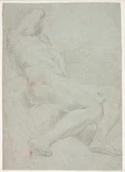 Reclining Male Model Study