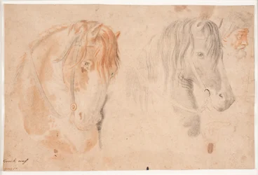 Two Horse Heads and a Man