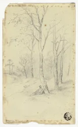 Man Sitting Under Trees