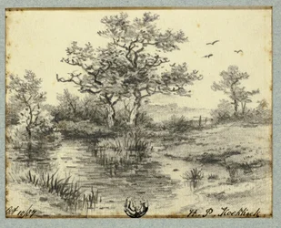 Trees by Pond