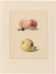 Peach, Blackberry, and Hazelnut and a Pear