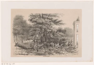 Fallen Tree at Voorhout After the Storm of May 28, 1860 (series: Album of Ten Lithographed Sketches Depicting Scenes of the Destruction Caused by the Storm of May 28, 1860 in The Hague Forest, Scheveningen)