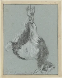 Dying Goat